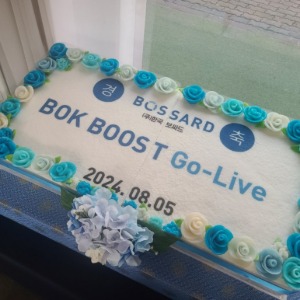 한국보싸드 기념떡케이크 80cm